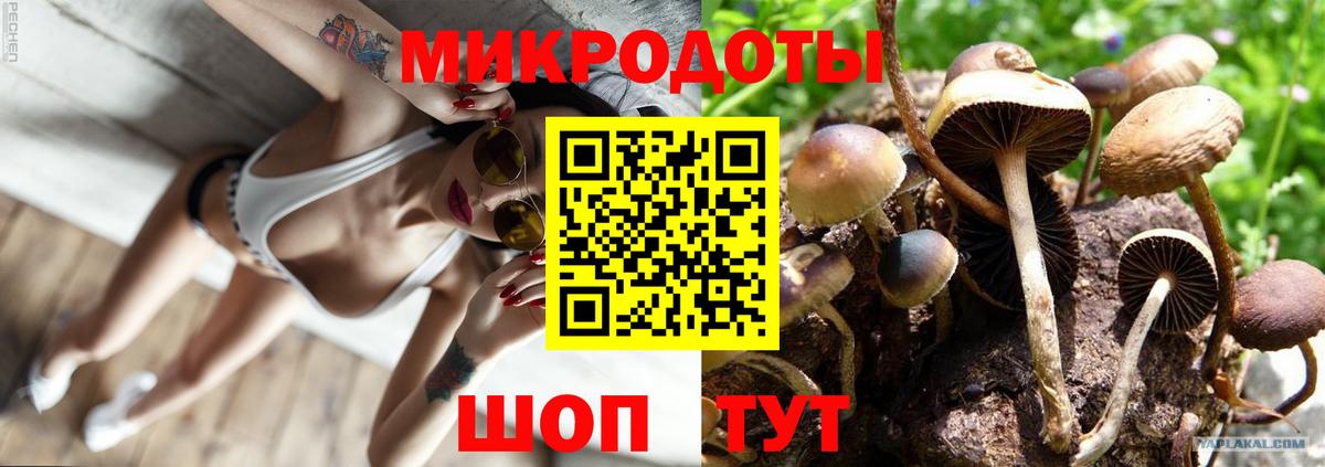 Галлюциногенные грибы мухоморы Электрогорск