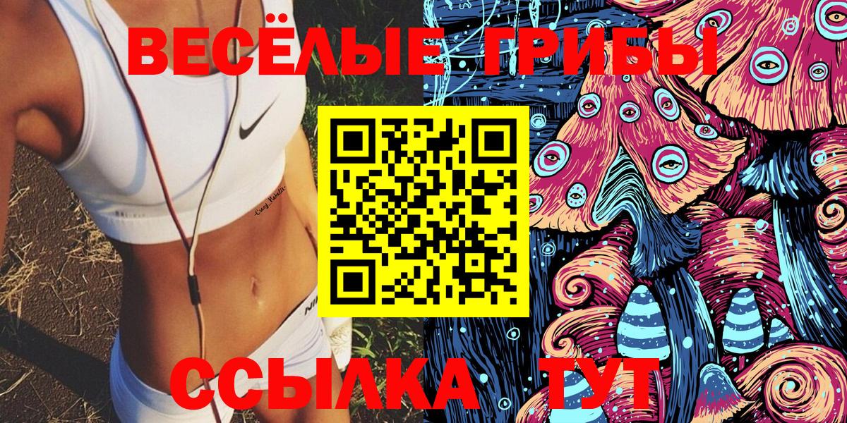 Псилоцибиновые грибы прущие грибы  Вход с VPN  Электрогорск 